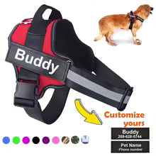 Reflective Breathable Pet Harness Vest