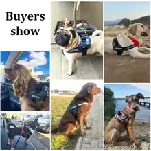 Reflective Breathable Pet Harness Vest