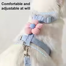 Pet Traction Leash Adjustable Cat Harness
