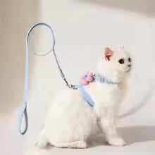 Pet Traction Leash Adjustable Cat Harness