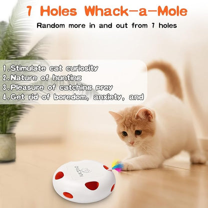 Interactive Cat Toys for Indoor Cats