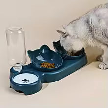 Pet Bowls With Water Feeder